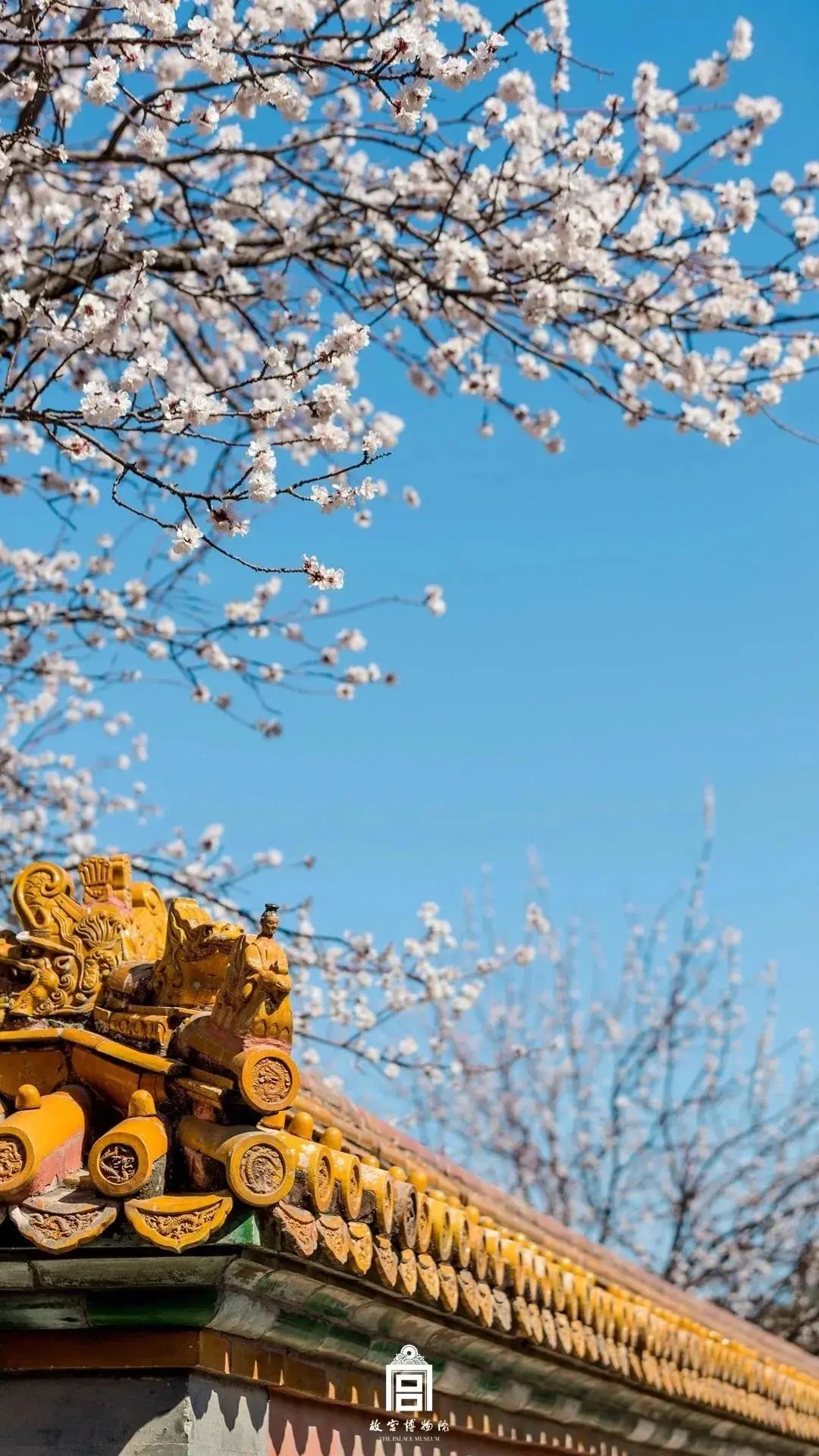 1689814558253672.jpg 1689814558253672.jpg