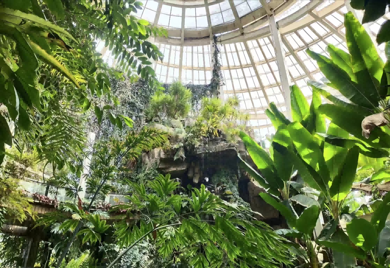 1690244791880258.png 1690244791880258.png