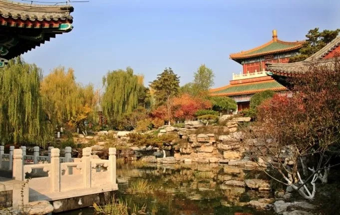 1690333216531313.jpg 1690333216531313.jpg